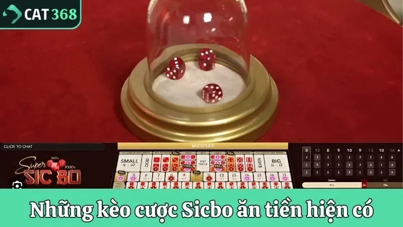 4 cửa cược xí ngầu hiện có trong trò chơi