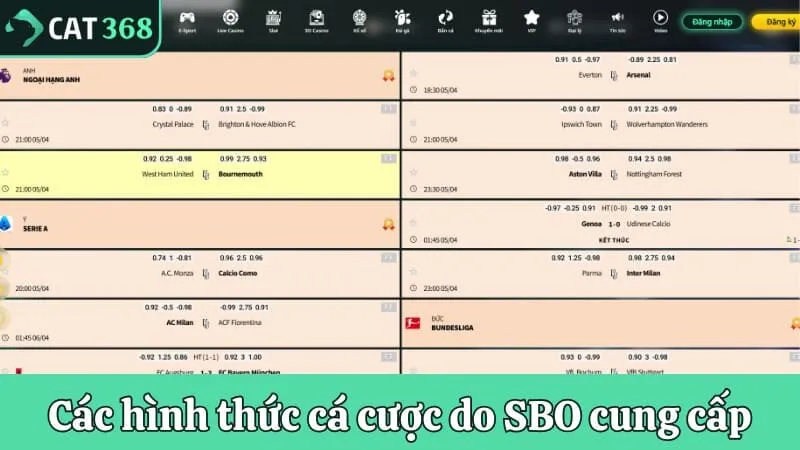 Các hình thức cá cược do SBO cung cấp