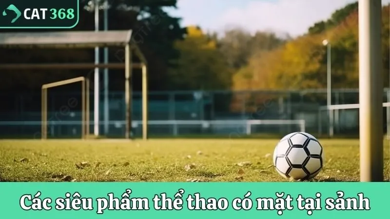 Các siêu phẩm cược thể thao đang có mặt tại sảnh