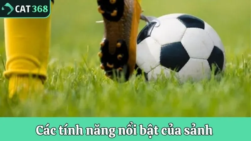Các tính năng nổi bật của sảnh