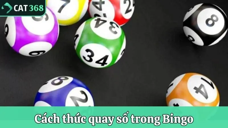 Cách thức quay số trong Bingo