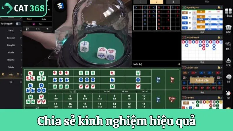 Chia sẻ kinh nghiệm hiệu quả khi chơi Bầu Cua