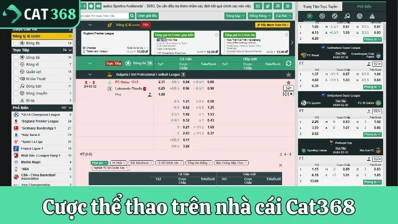 Cược thể thao trên nhà cái Cat368 với tỷ lệ hấp dẫn 