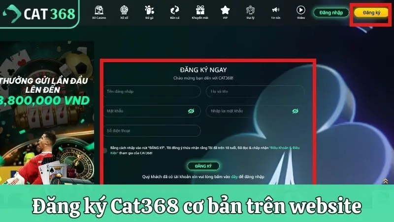 Đăng ký Cat368 cơ bản trên website