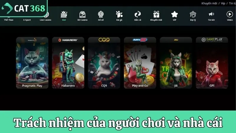 Điều khoản sử dụng về và trách nhiệm của người chơi và nhà cái