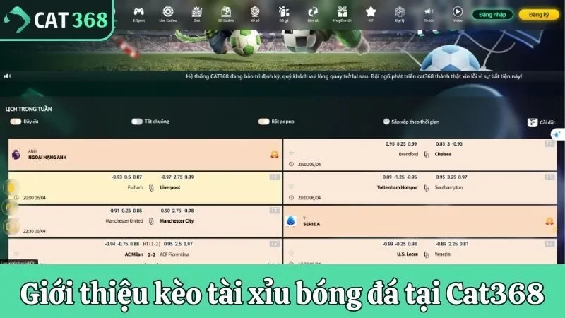 Giới thiệu kèo tài xỉu bóng đá tại Cat368