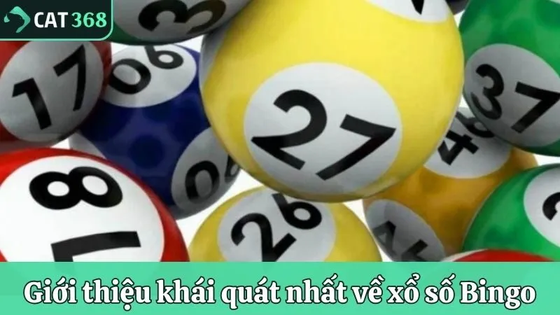 Giới thiệu khái quát nhất về xổ số Bingo
