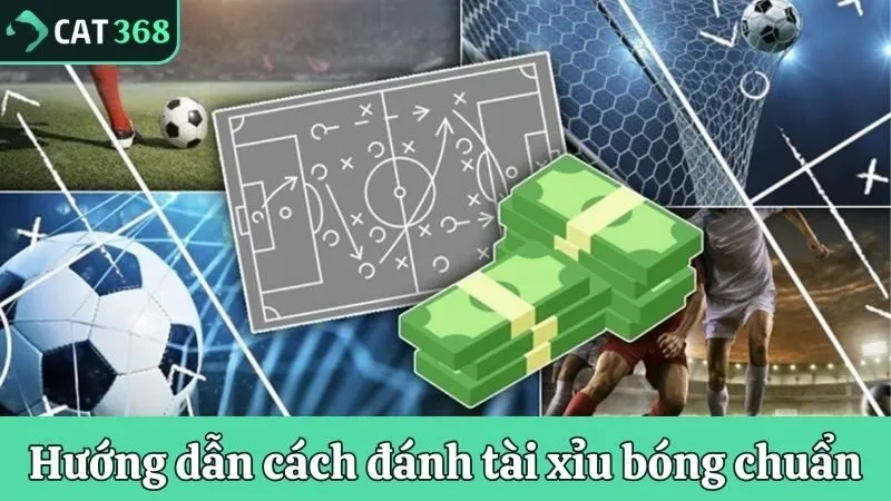 Hướng dẫn cách đánh tài xỉu bóng chuẩn