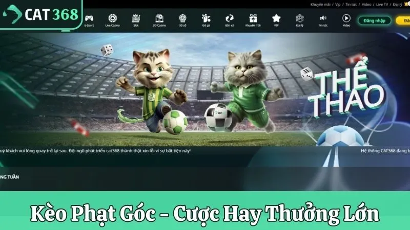 Kèo phạt góc