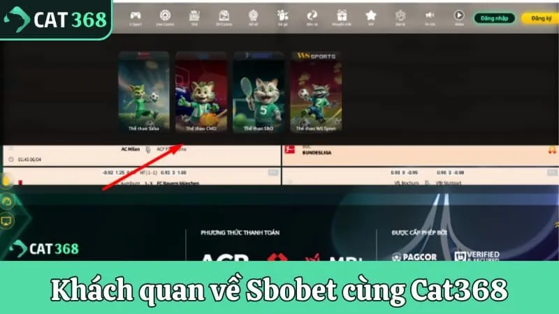 Khách quan cần biết về Sbobet cùng Cat368