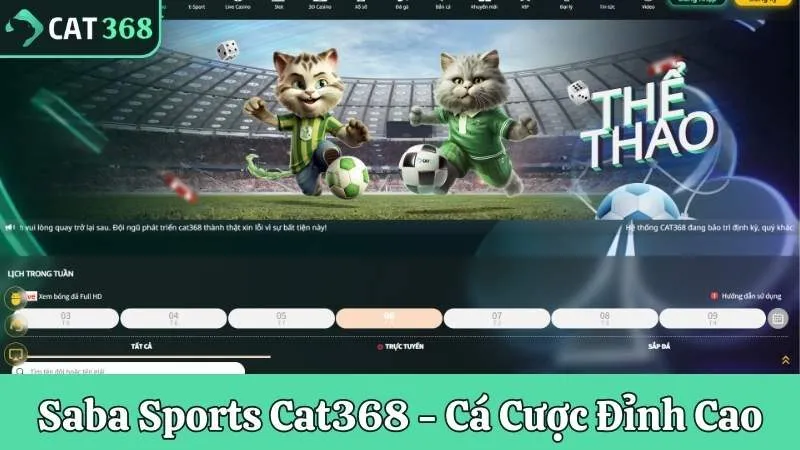 Saba Sports