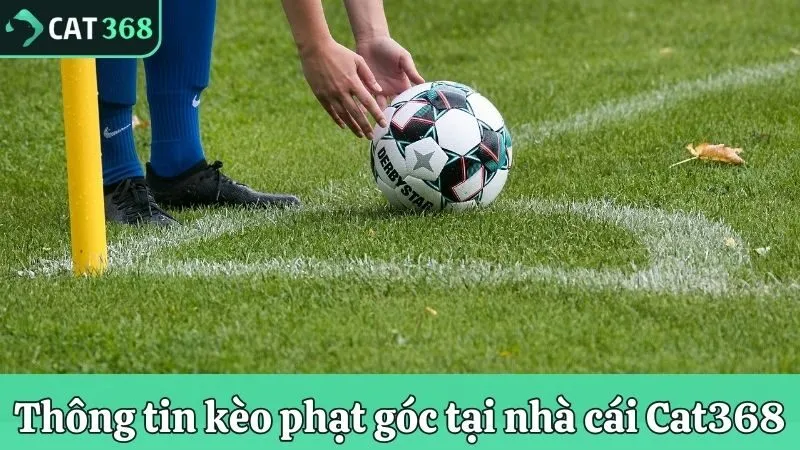 Thông tin kèo phạt góc tại nhà cái Cat368