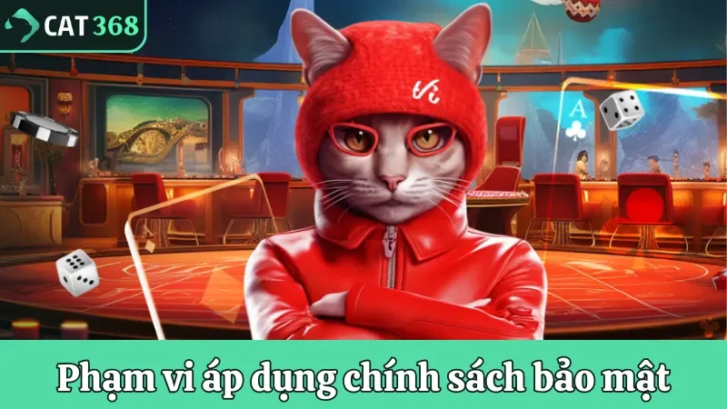 Tìm hiểu phạm vi áp dụng chính sách bảo vệ thông tin
