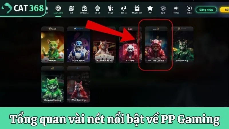 Tổng quan vài nét nổi bật về PP Gaming